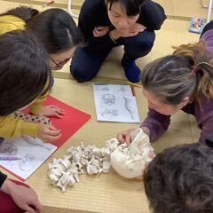 Yuumiボディワーク教室　 1部の画像
