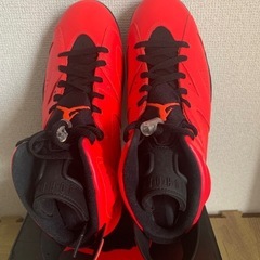 国内 NIKE.com限定 新品 AIR JORDAN 6 RETRO 384664-623 INFRARED23 エアジョーダン 27.5cmの画像