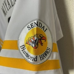仙台Diamond HAWKS  メンバー募集！！ - スポーツ