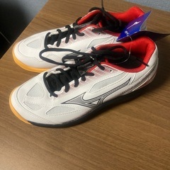 バドミントンシューズの画像