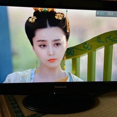 26インチ 液晶テレビ  パナソニック ビエラ TH-L26X2 