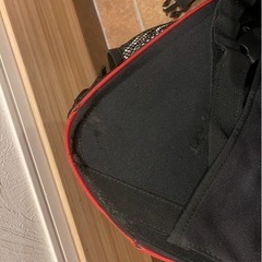 デグナー　サイドバックの画像