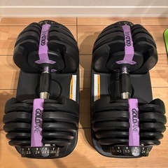 可変式ダンベル 24kg 15段階　