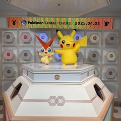 ポケカしませんか？