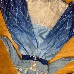 エルサドレス