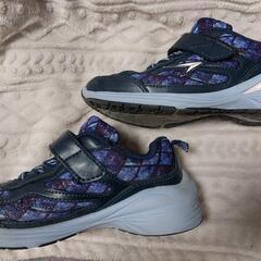 瞬足　18cmの画像