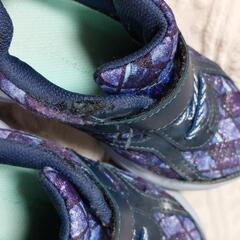 瞬足　18cmの画像