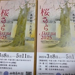 [値下げ] 山種美術館　桜　さくら　SAKURA2025入場券２枚