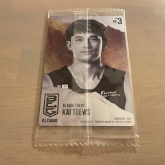B.LEAGUE テーブス海の画像