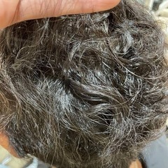 【23日の朝急募】癖毛さんブローモデル　後日縮毛矯正無料！