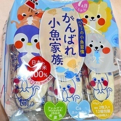 子供用　お菓子　がんばれ小魚家族　