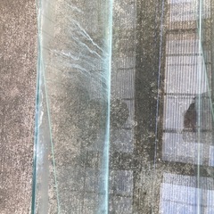 90cm 水槽　熱帯魚　鑑賞魚　ガラス製の画像