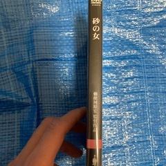 【希少傑作盤・勅使河原宏監督】安部公房原作『砂の女 特別版('64)』DVDの画像