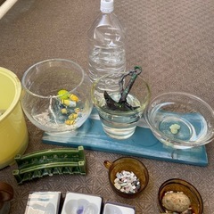 メダカ鉢の画像