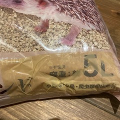 コーンサンド♡ハリネズミの画像