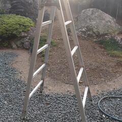 ２９日、1730 予定中古　高さ1450　脚立の画像