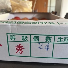 徳島県産トマト24個
