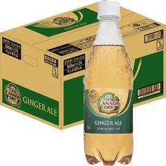 ジンジャーエール 500ml 24本入り1箱
