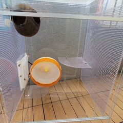 ケージ、爬虫類用品差し上げます