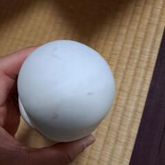 博多人形　春よこいの画像