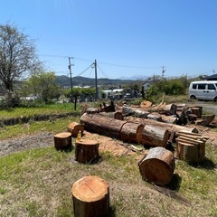 北栄町　スギの丸太　お譲りいたします。