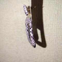 新品未使用 スネークデザイン　ピアスの画像