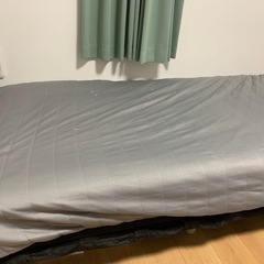 セミダブルベット