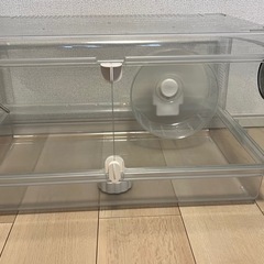 グラスハーモニー600