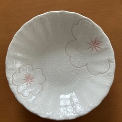 お皿5枚セット