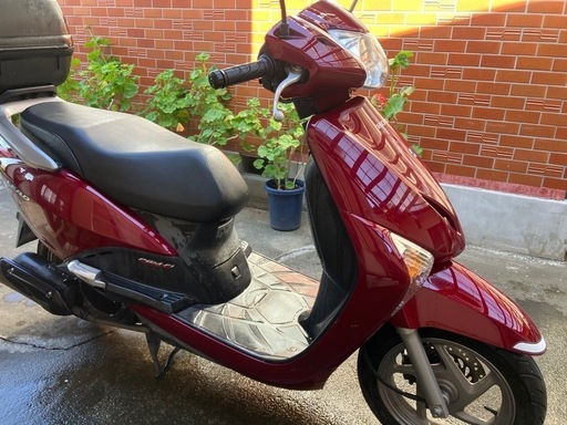 低走行極上車5200km！リードEX リッター40キロ！