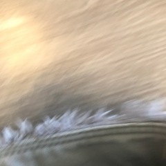 短パン　おしゃれ　裏ファー　ほぼ新品　ユニセックス　120の画像