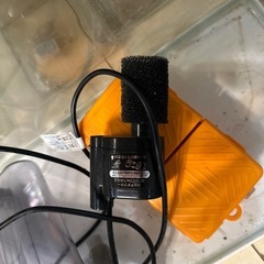 メダカ飼育セットの画像