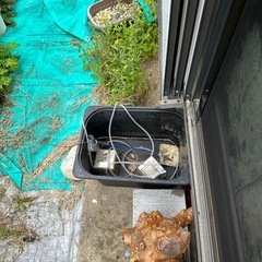 メダカ飼育セットの画像