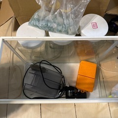 メダカ飼育セットの画像