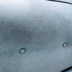 2人掛けソファ（ティファニーブルー）の画像