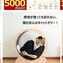 キャットホイールの画像