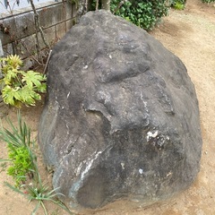 庭石の画像