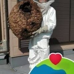 【青森県】【月100万円以上可】業務委託　蜂駆除作業員募集の画像