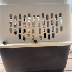 中型犬用ゲージ  の画像