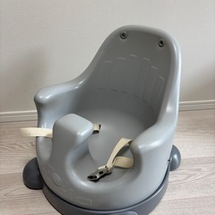 コアラシートの画像