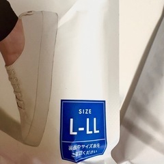 BELMISE（ベルミス)レギンス新品未開封の画像