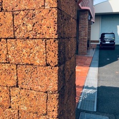 店舗デザイン　リフォーム、　石灰岩　  蜂の巣の石の画像
