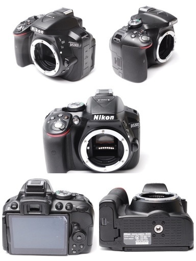 【ショット60】Nikon ニコン D5300 動画撮影ダブルレンズ