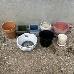 多肉植物用　ポット8個の画像