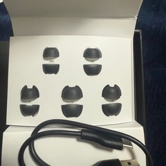 アンカーLiberty4Pro美品の画像