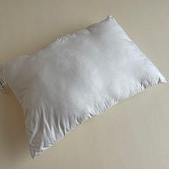 【GW後処分予定】40×60 枕の画像