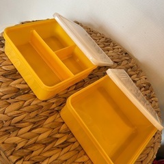 🪼真夏に❄️保冷剤タッパーの画像