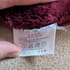 お話中★あったか毛布の画像