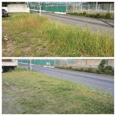 🌿草刈り・庭の手入れでお困りの方へ【四国中央市内対応】🌿