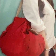 新品シュパット 一気にたためるコンパクトエコバッグ大きなサイズ/L レジカゴにもokの画像